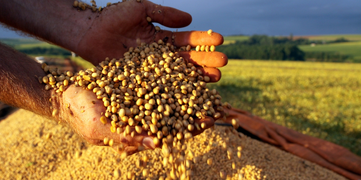 Tritec Cerealista: confiança e valorização para a sua produção